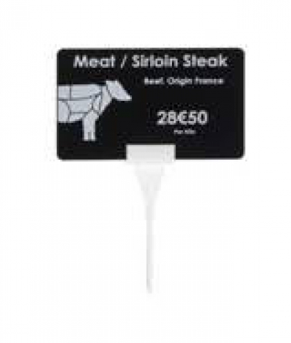 AC000001 - Support carte avec pic